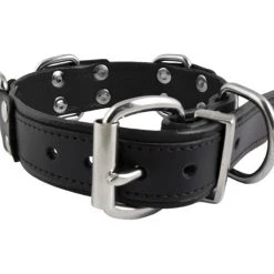 Collier Cuir 4 Anneaux