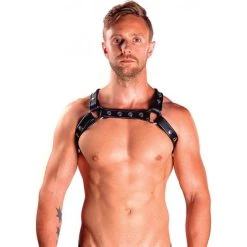 Harnais Sm En Cuir Noir Mister B
